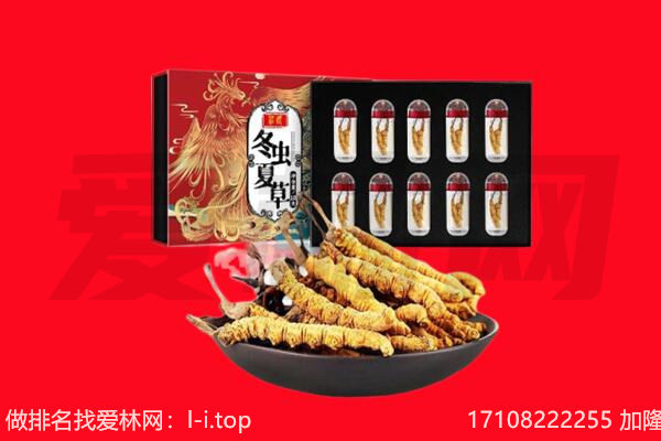 漯河回收虫草.jpg